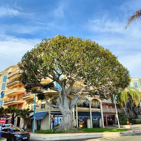 Le Coq Casamare - Ac - Wifi - Quiet