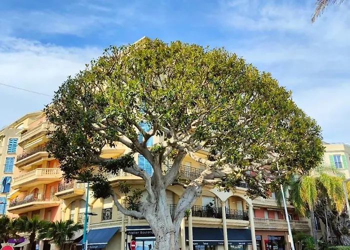 Le Coq Casamare - Ac - Wifi - Quiet